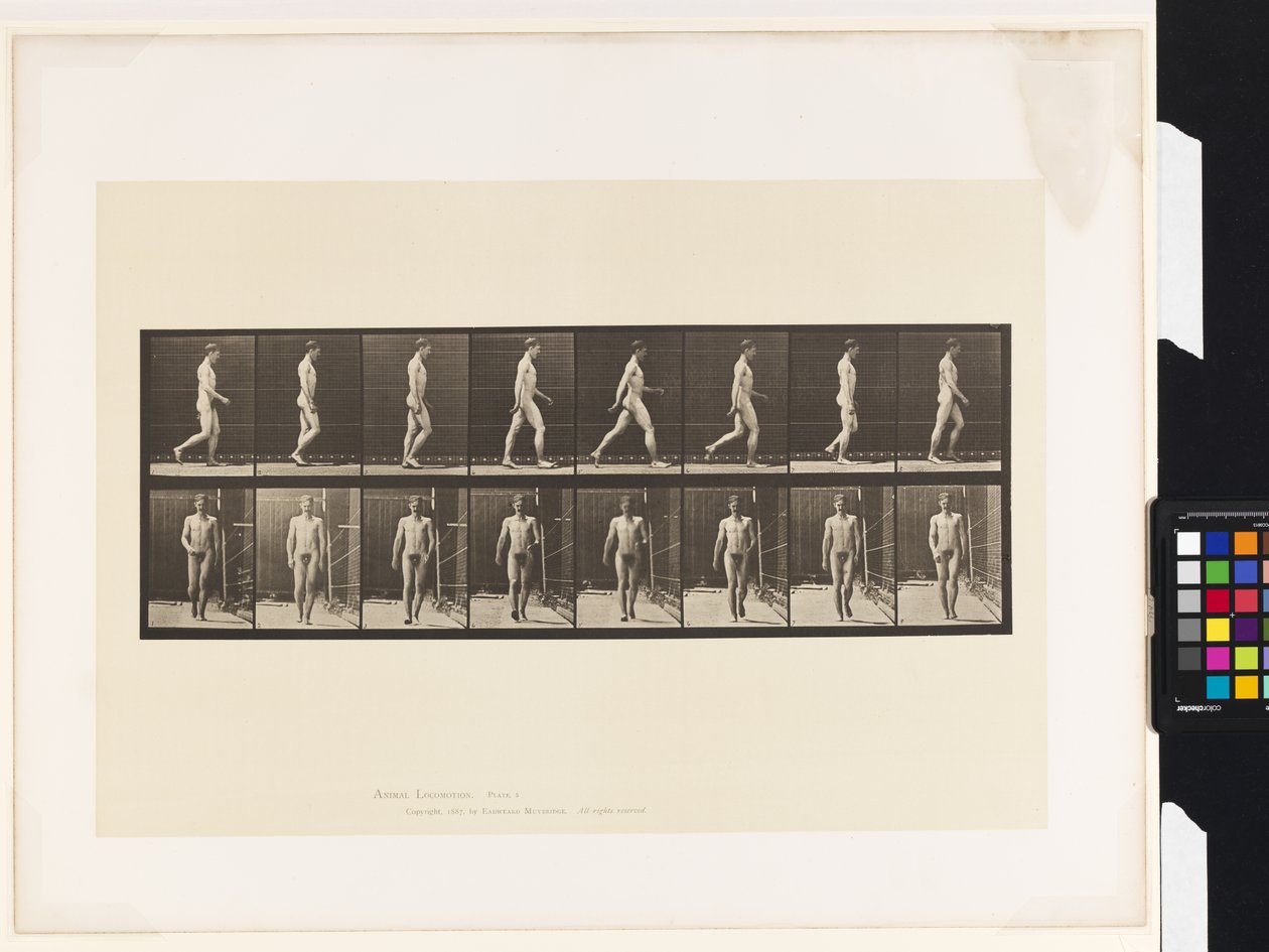 Placa 5. Caminhada de Eadweard Muybridge