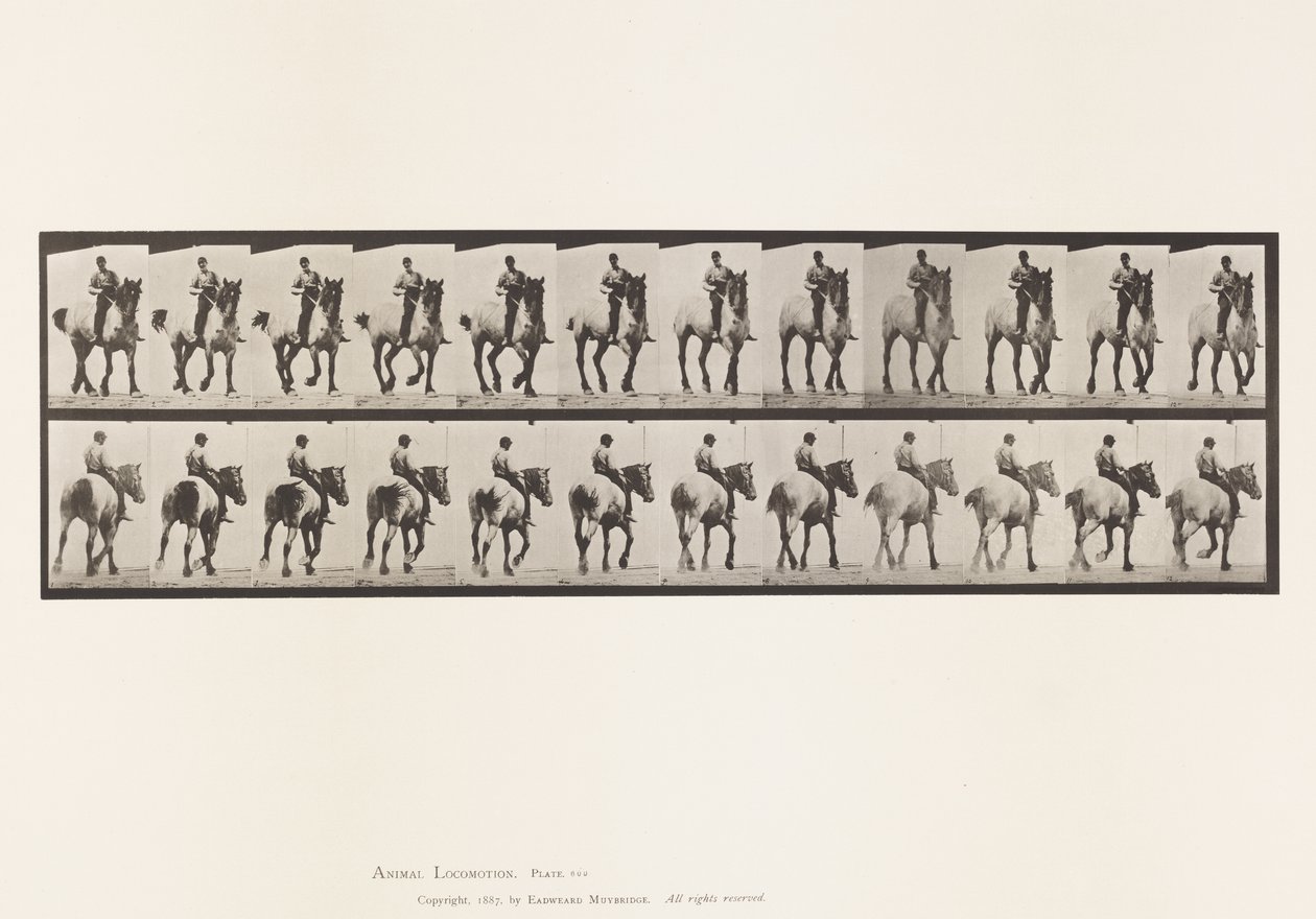 Placa 600. Trotando; Bareback; Dusel Cinzento Escuro de Eadweard Muybridge