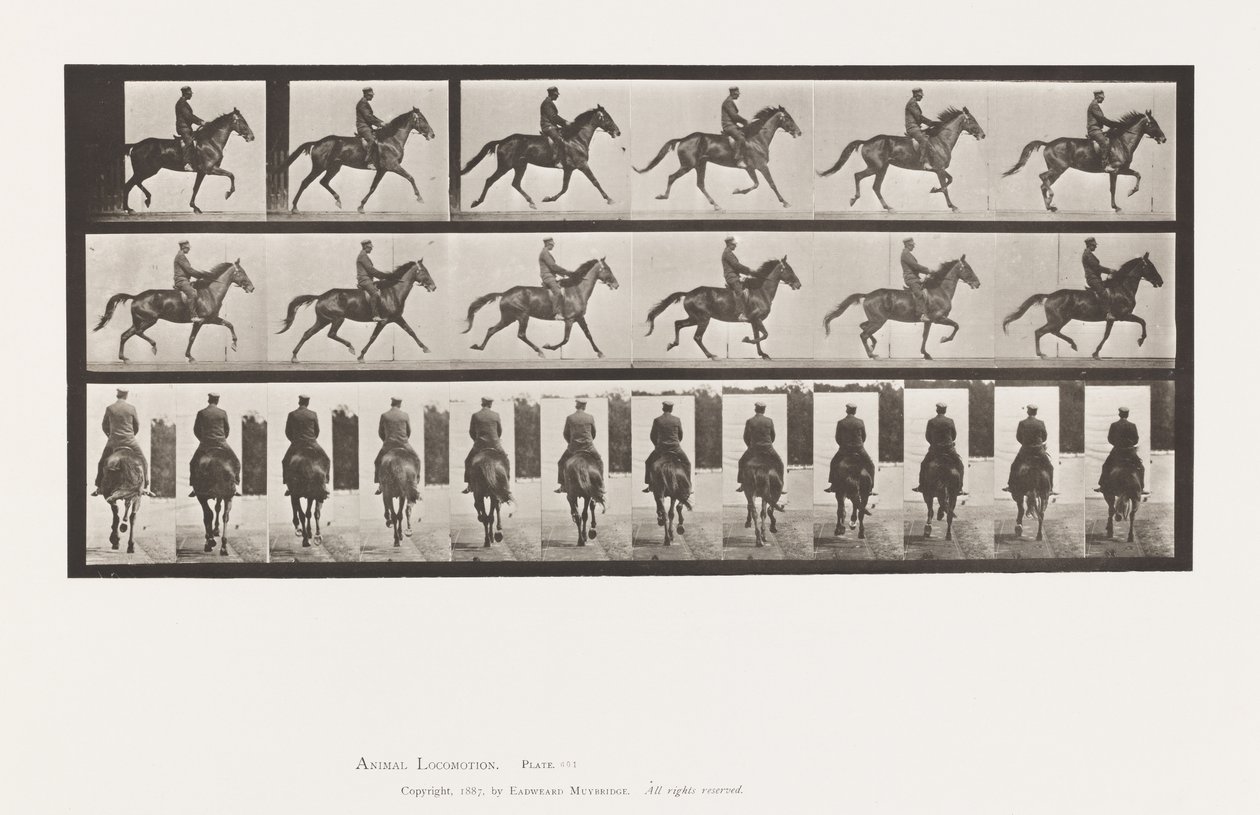 Placa 601. Trotando; Sela; Beleza Marrom-Marrom de Eadweard Muybridge