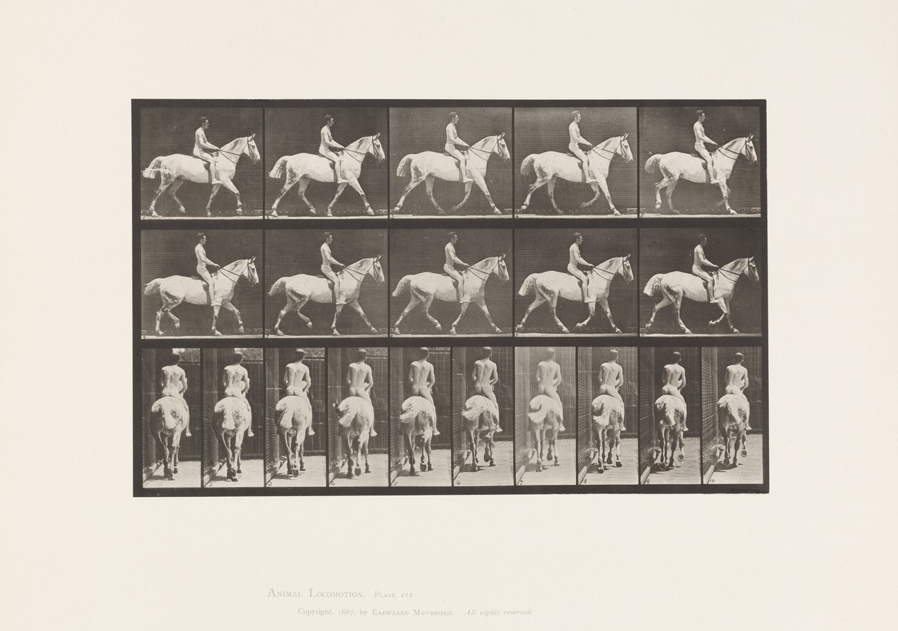 Placa 603. Trote; Sela; Cavalgada, 43, Larga, Cavalo Cinzento Claro Smith de Eadweard Muybridge