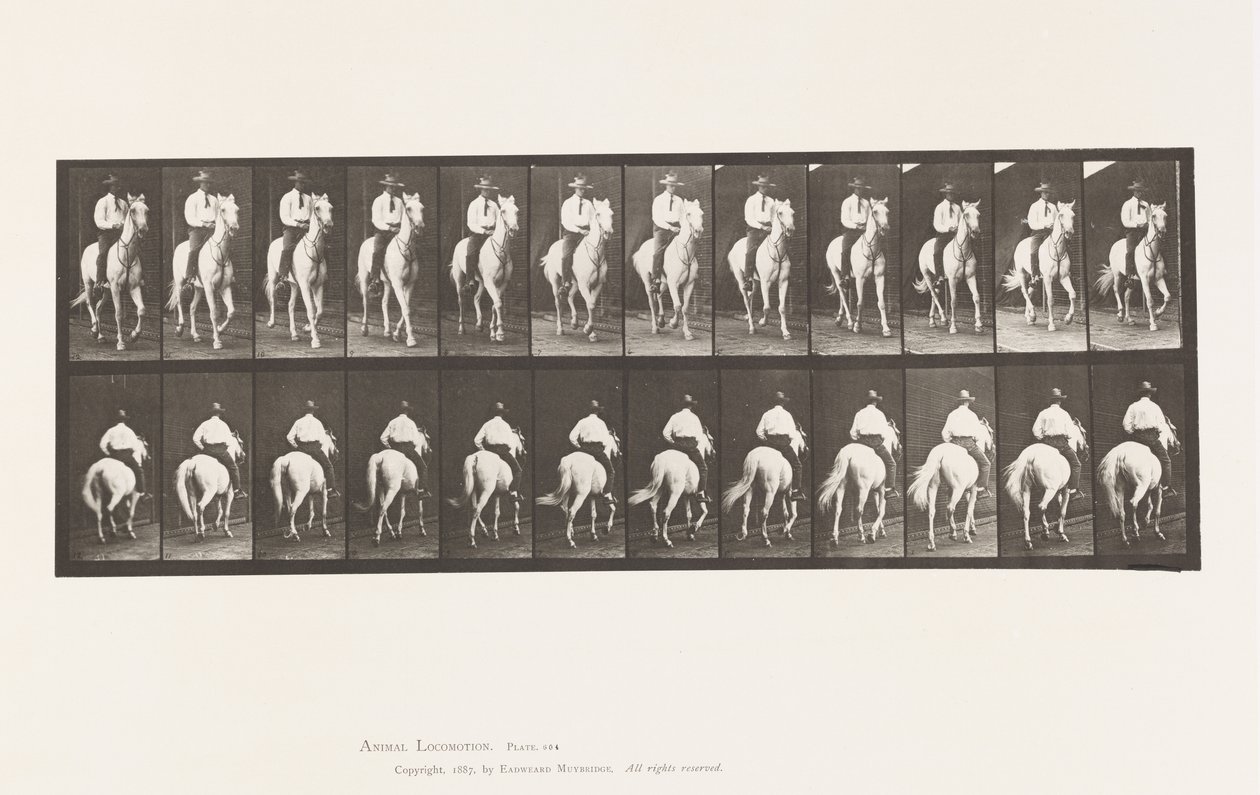Placa 604. Trote; Sela; Cavalo Branco, Elberon de Eadweard Muybridge