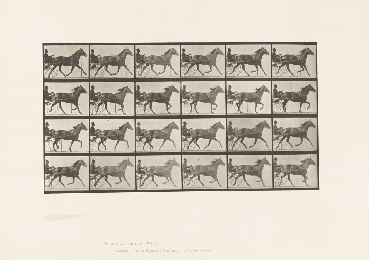 Placa 607. Trotting; Sulky; Bay Mare, Lizzie M. de Eadweard Muybridge