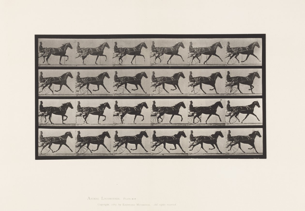 Placa 608. Trotando; Sulky; Sorrel Mare, Flode Holden de Eadweard Muybridge