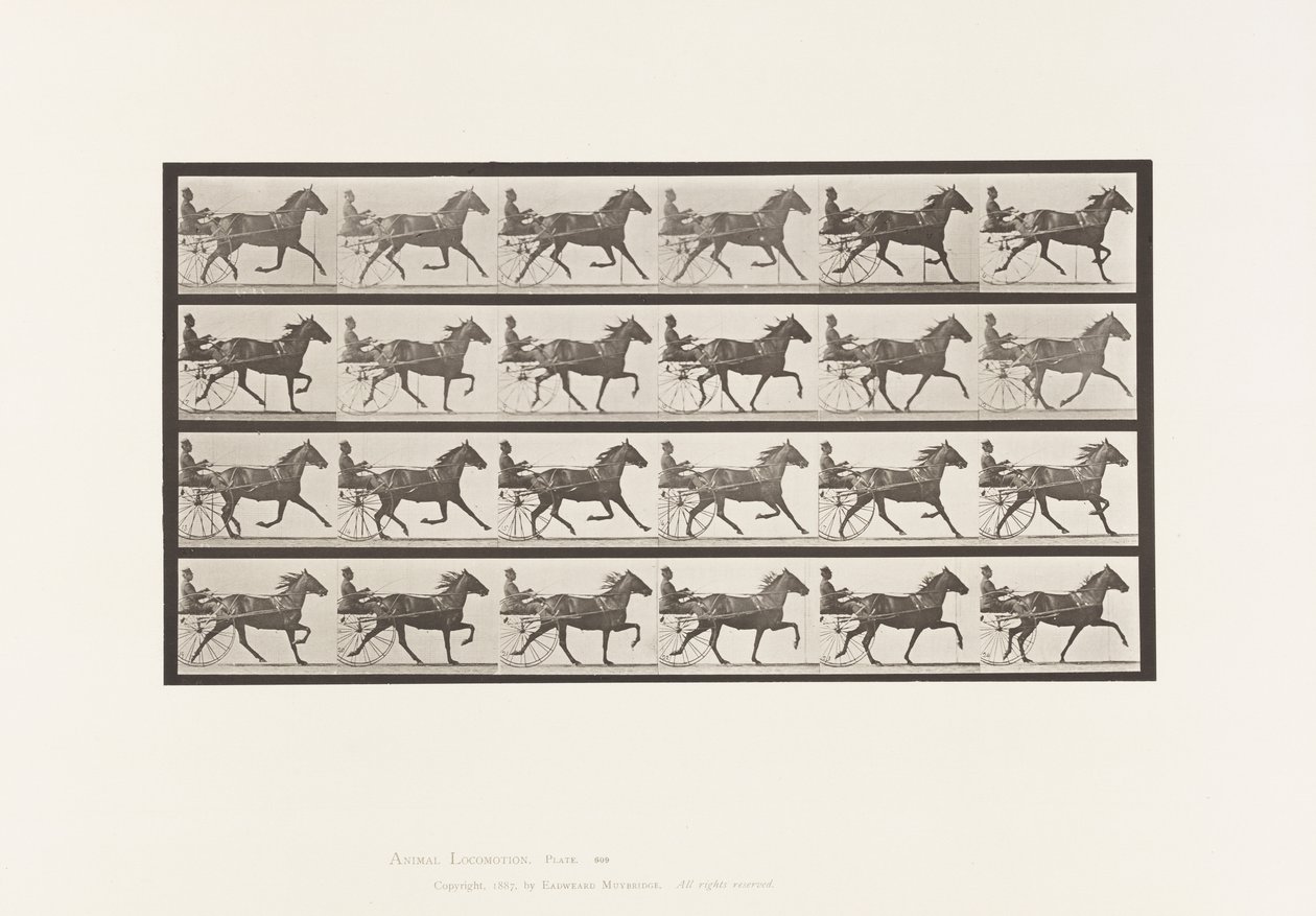 Placa 609. Trotting; Sulky; Bay Mare, Lizzie M. de Eadweard Muybridge