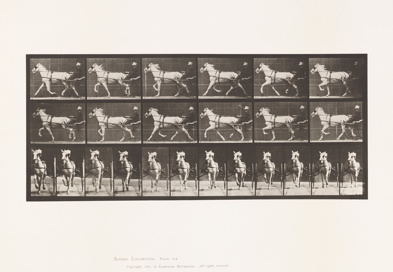 Placa 610. Trotting; Sulky; Gray Mare, Katydid de Eadweard Muybridge