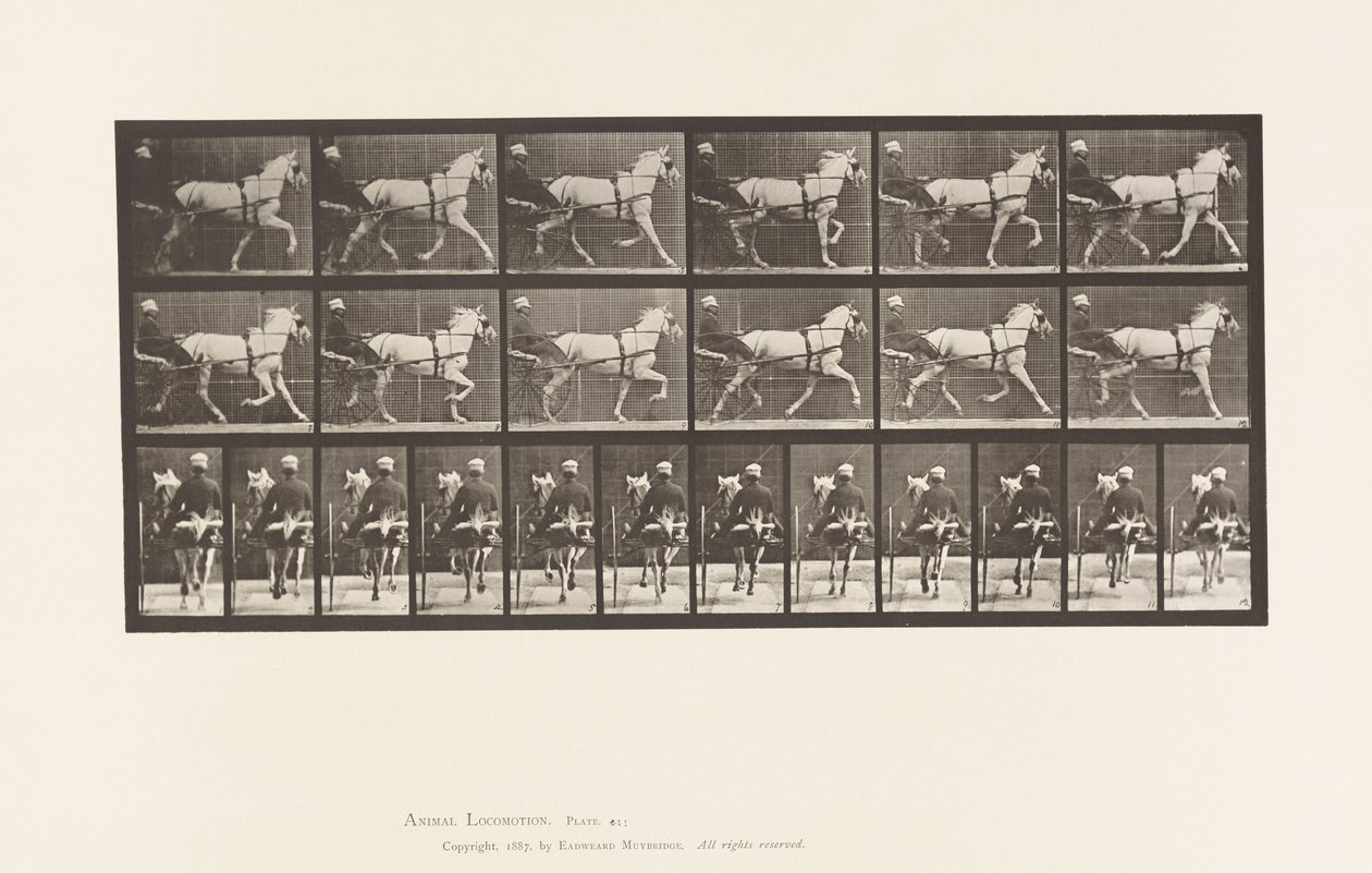 Placa 611. Trotting; Sulky; Gray Mare, Katydid de Eadweard Muybridge