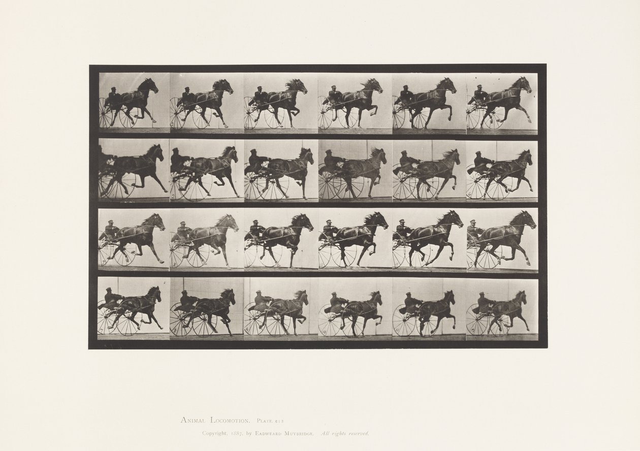 Placa 613. Trotting; Sulky; Sorrel Mare Nellie Rose de Eadweard Muybridge