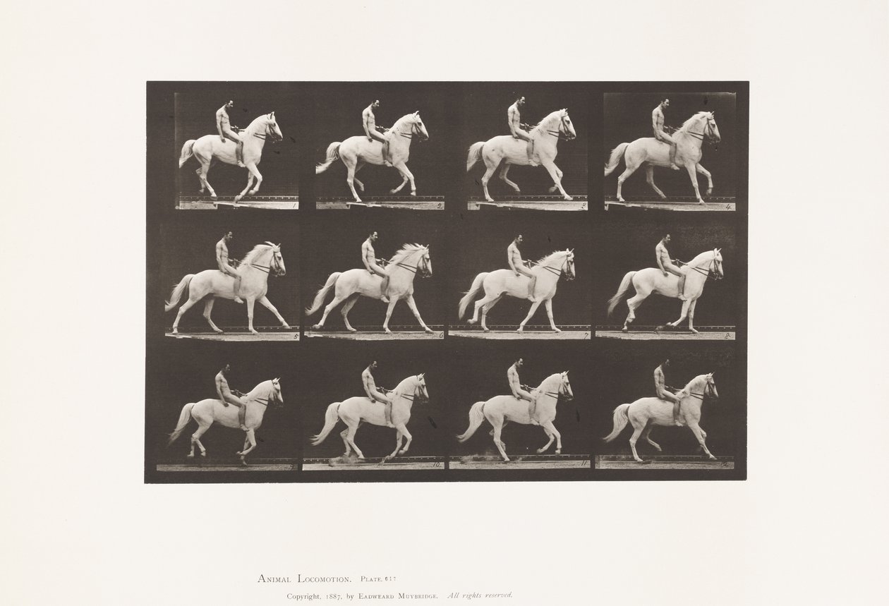 Placa 617. Canter; Em pêlo; Cavaleiro, 106, nu; cavalo branco Clinton, 1885 de Eadweard Muybridge