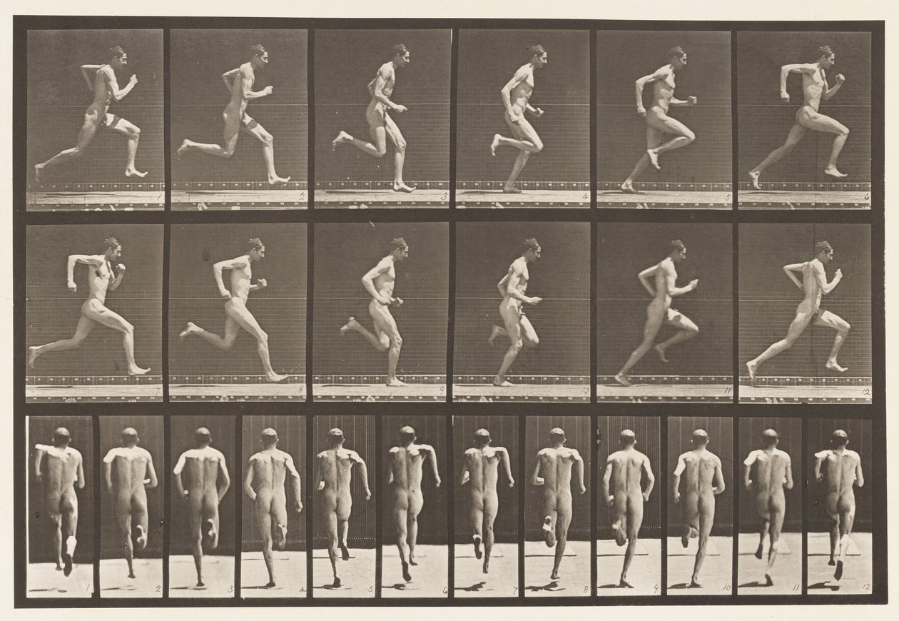 Placa 62. Correndo a toda velocidade., 1872-1885 de Eadweard Muybridge