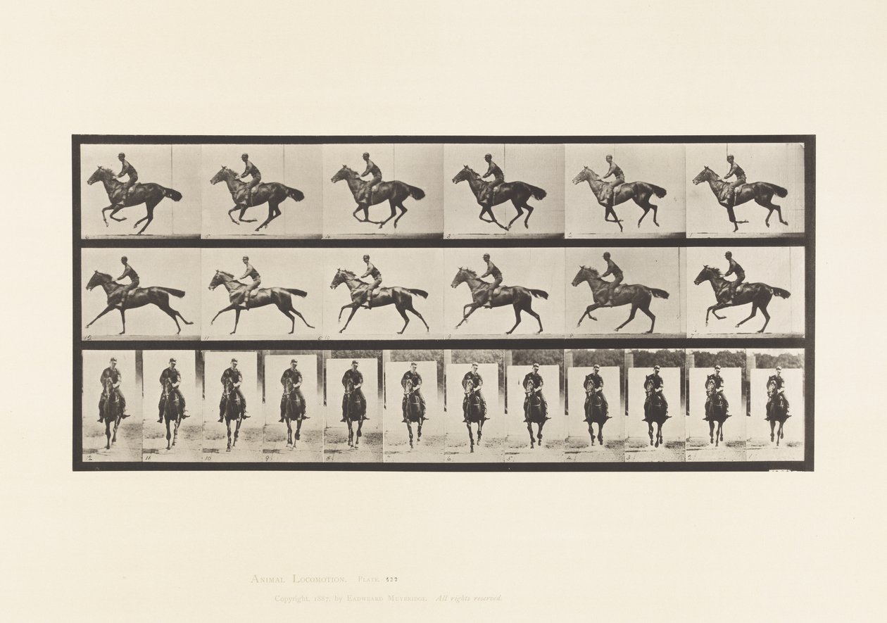 Placa 632. Galope; Sela; Cavalo Puro Sangue da Baía Bouquet de Eadweard Muybridge