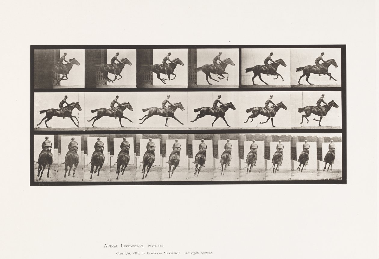 Placa 633. Galope; Sela; Cavalo puro-sangue da Baía Bouquet de Eadweard Muybridge