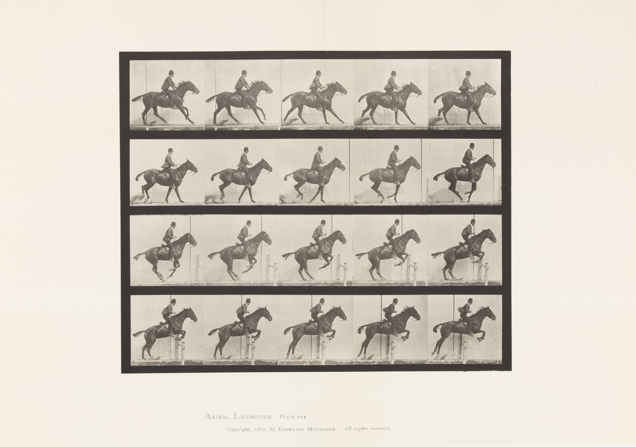 Placa 636. Saltar um obstáculo; Sela; Preparar para o salto de Eadweard Muybridge