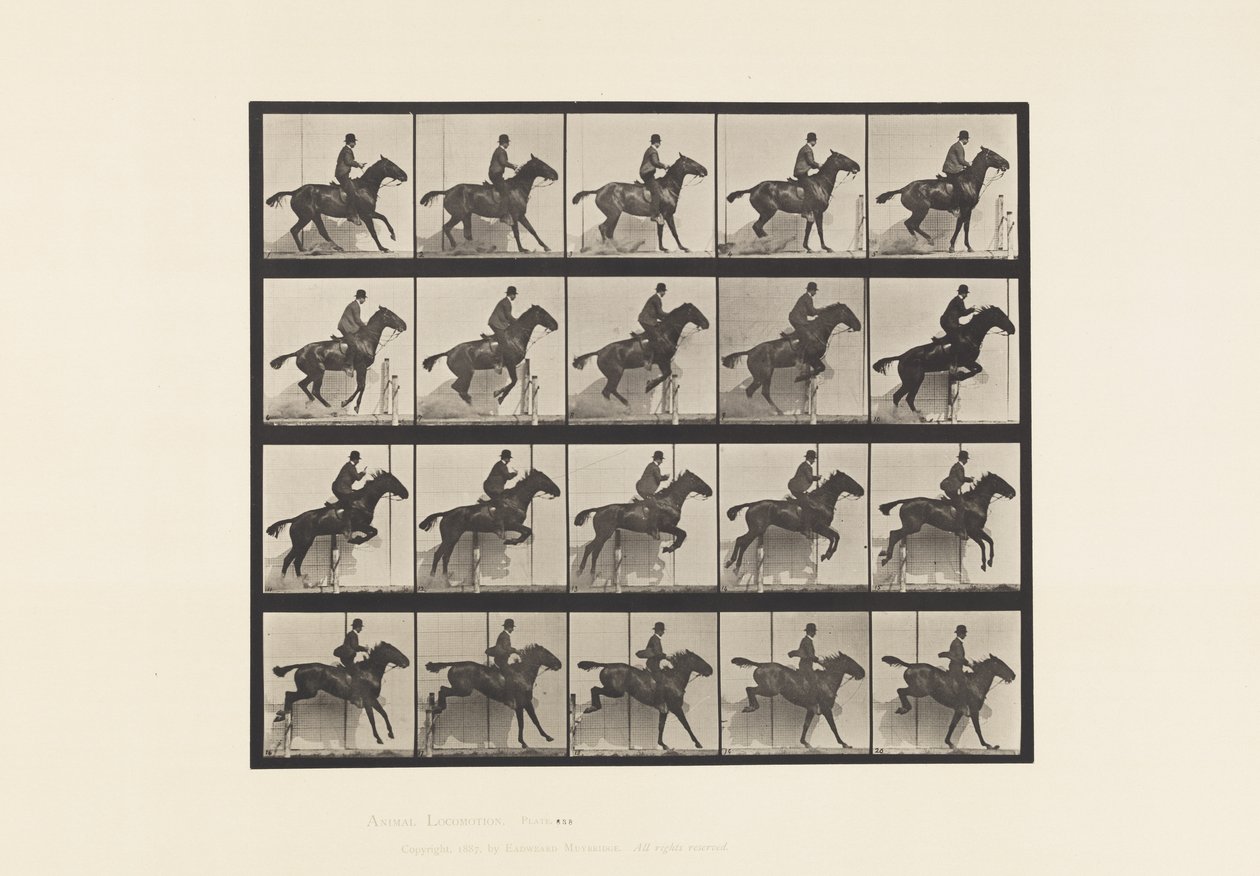 Placa 638. Saltar a Hurdle; Saddle; Bay Horse Horse Daisy de Eadweard Muybridge