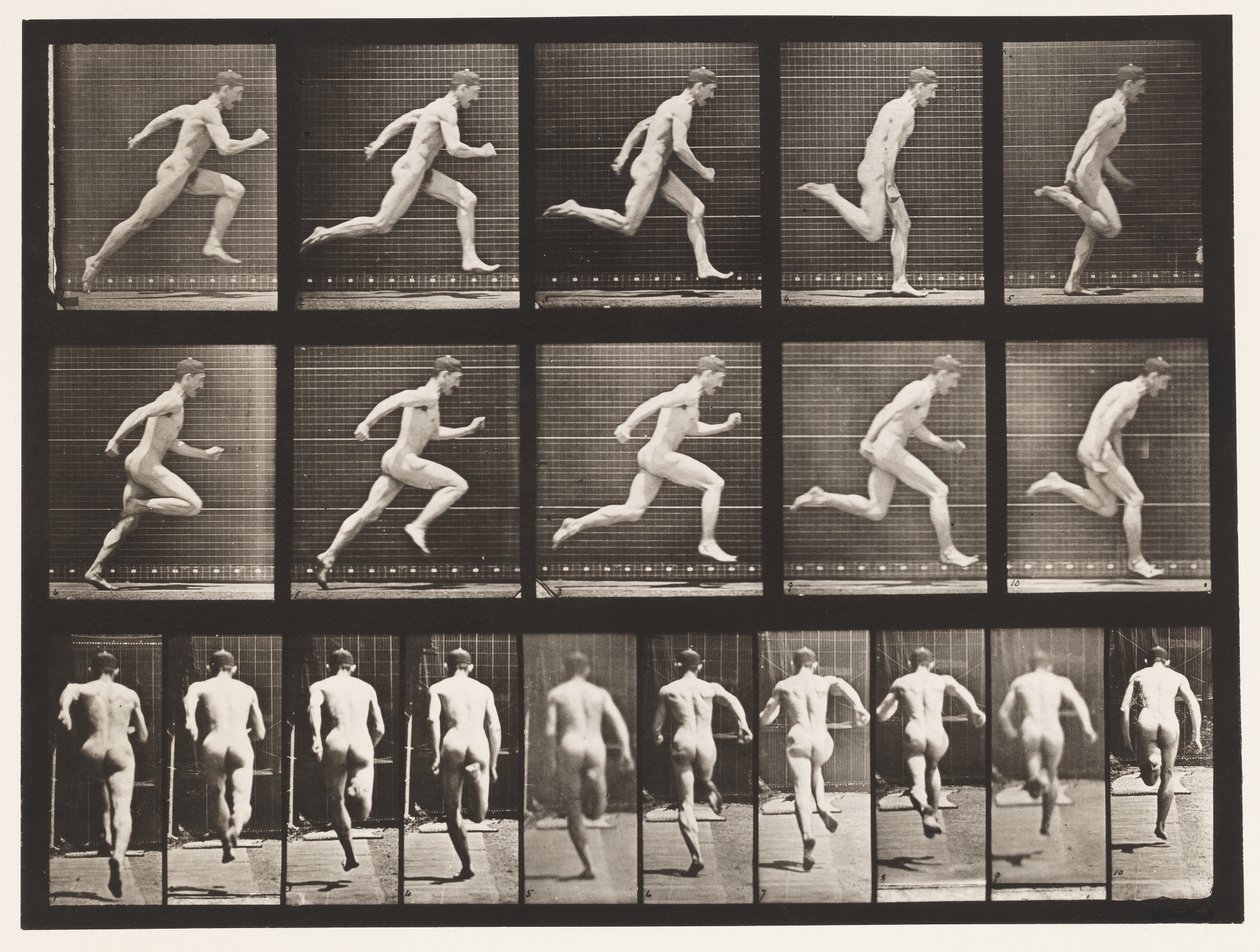 Placa 63. Funcionando a toda velocidade. de Eadweard Muybridge