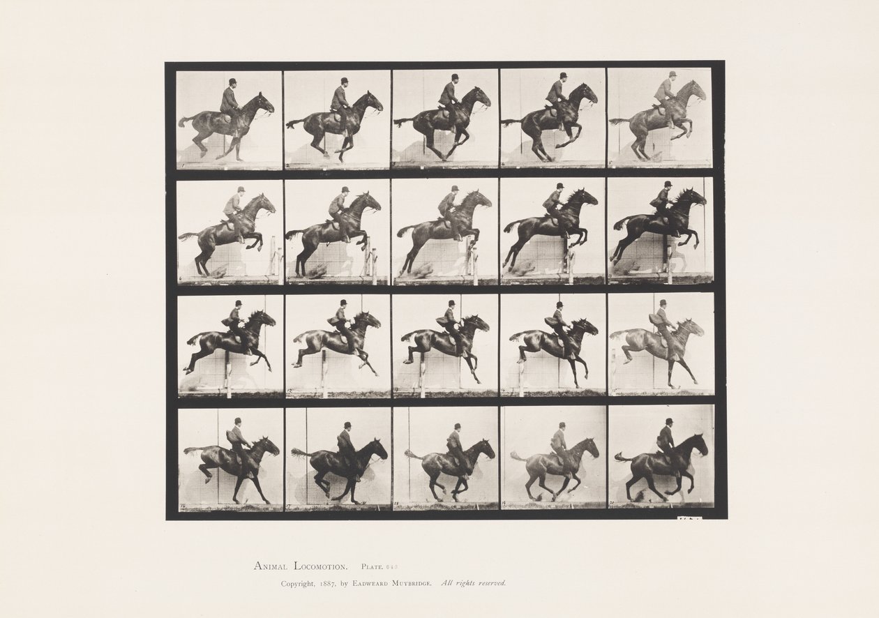 Placa 640. Saltar a Hurdle; Saddle; Bay Horse Horse Daisy de Eadweard Muybridge
