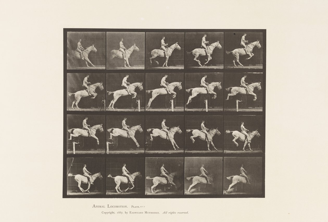 Placa 642. Saltando um Obstáculo; Selim; Cavaleiro, 105, Nu; Mare cinza, 1885 de Eadweard Muybridge