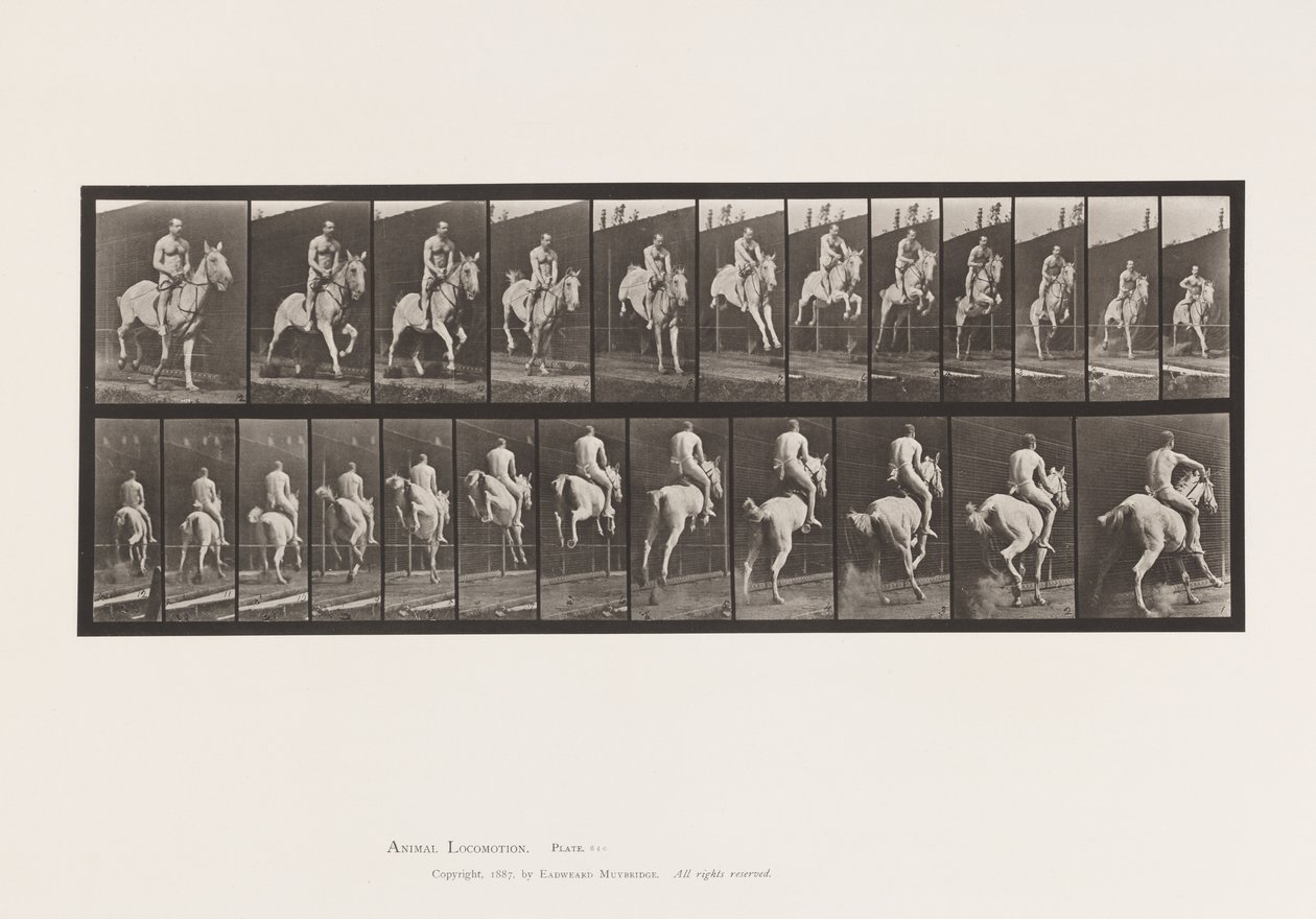 Placa 646. Saltando um Obstáculo; Selim; Cavaleiro, 105, Nu ;, 1885 de Eadweard Muybridge