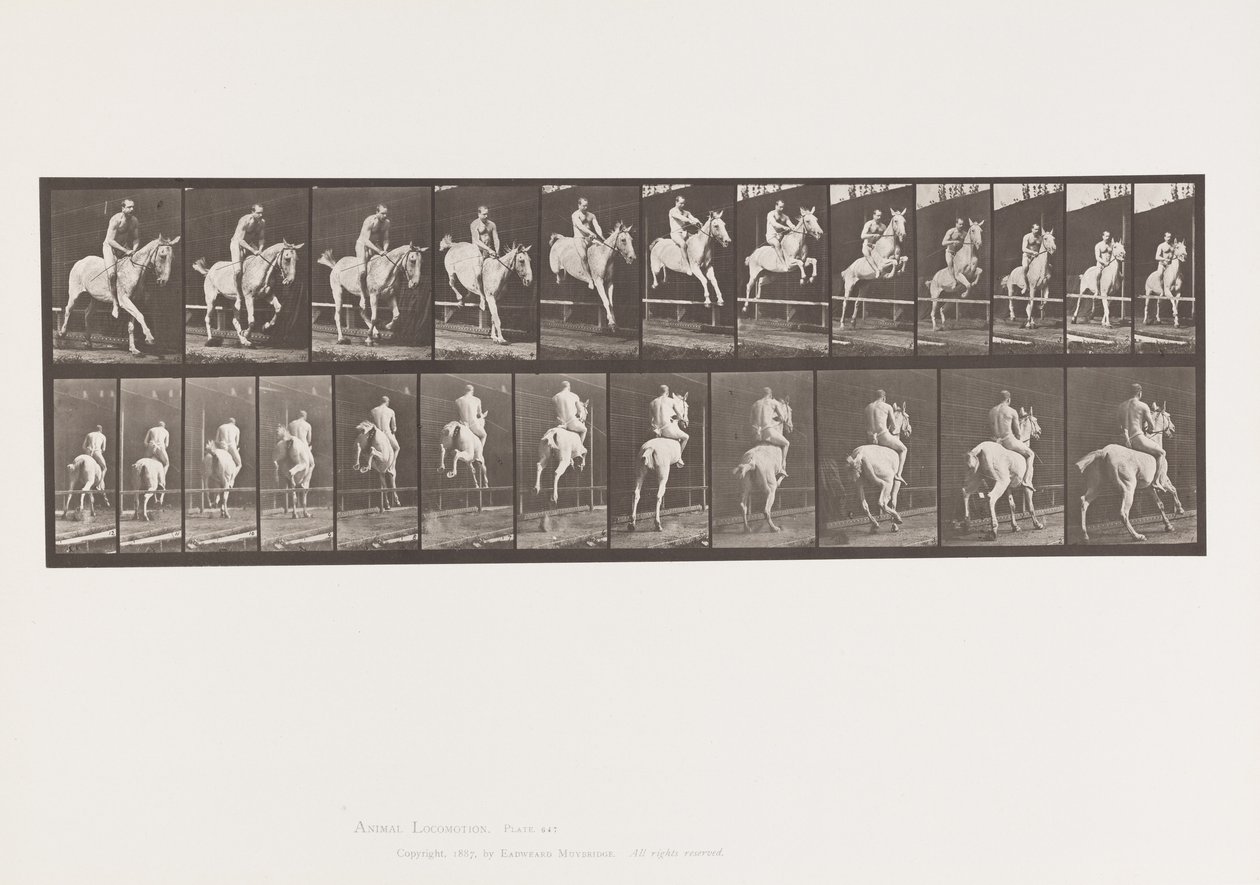 Placa 647. Saltar um obstáculo; Bareback; Cavaleiro de Eadweard Muybridge
