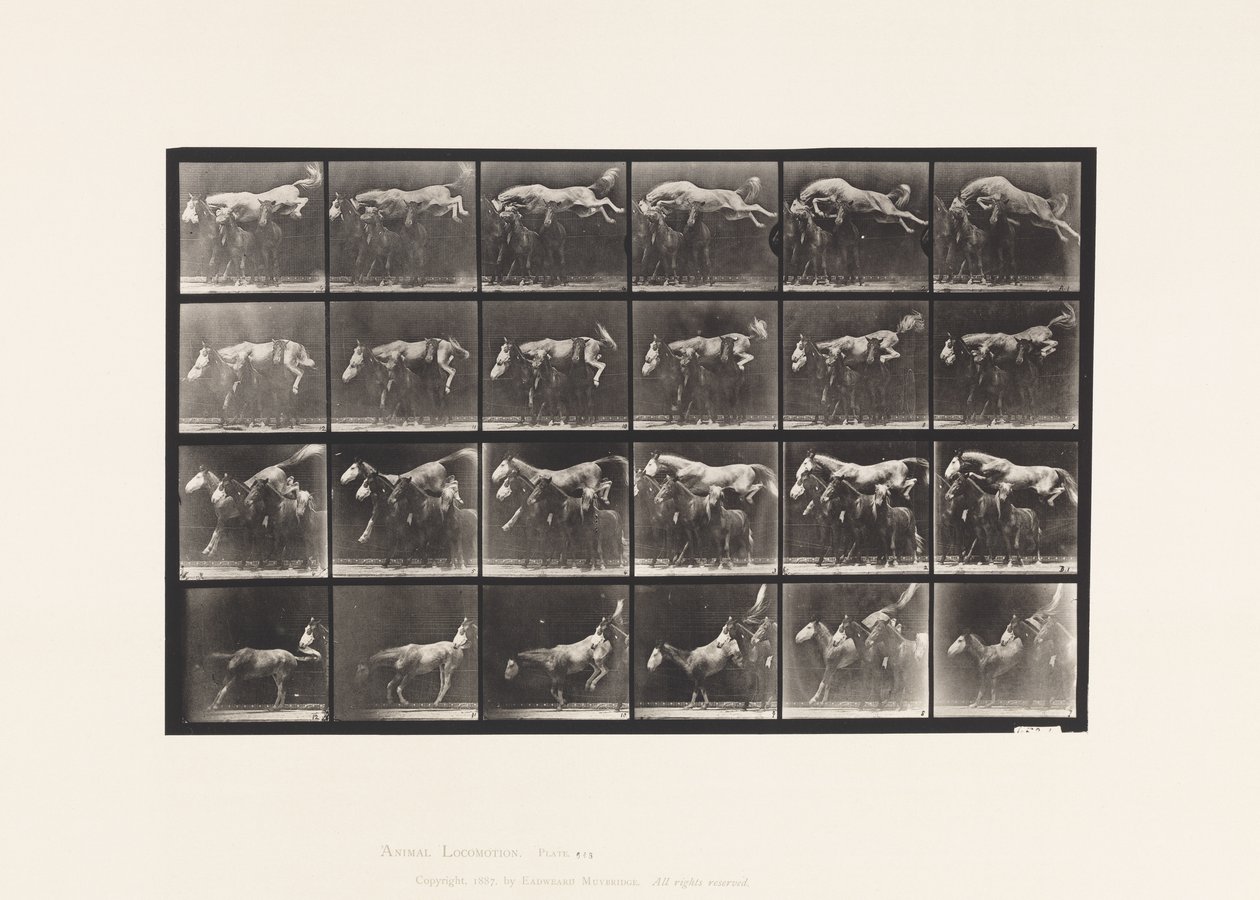 Placa 648. Saltando Sobre Três Cavalos; A,B; Chestnut Horse Hornet de Eadweard Muybridge