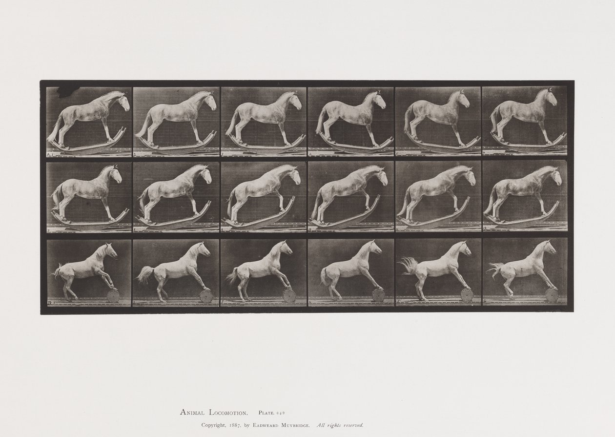 Placa 649.A, Hornet, Rocking; B, Eagle, Rolling Barrel, Etc. de Eadweard Muybridge