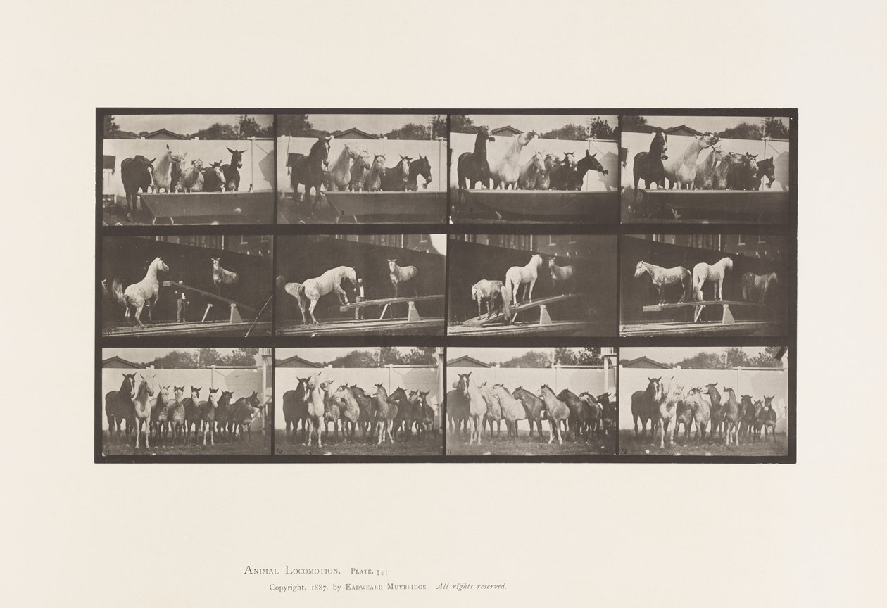 Placa 651.A, Tocando o sino; B, Tábua de Teeter; C, Perfuradora Militar de Eadweard Muybridge