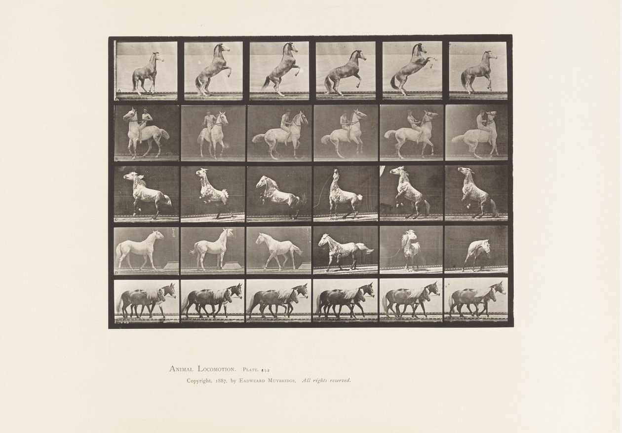 Placa 652. A, B, C, D, E, Criação de Cavalos, etc. de Eadweard Muybridge