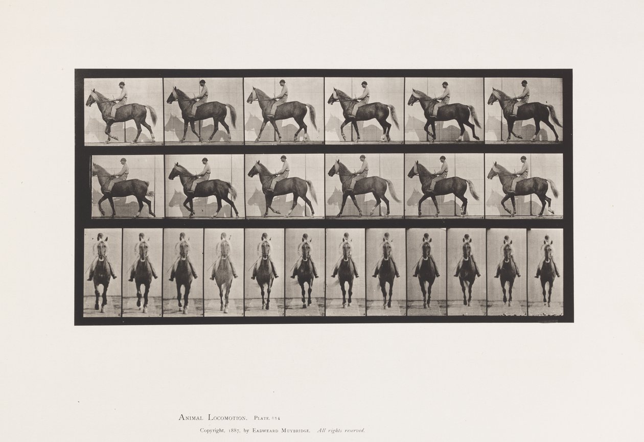 Placa 654. Andar a pé; Sela; Pés Manco, Frente Direita; Pele de Cavalo de Eadweard Muybridge