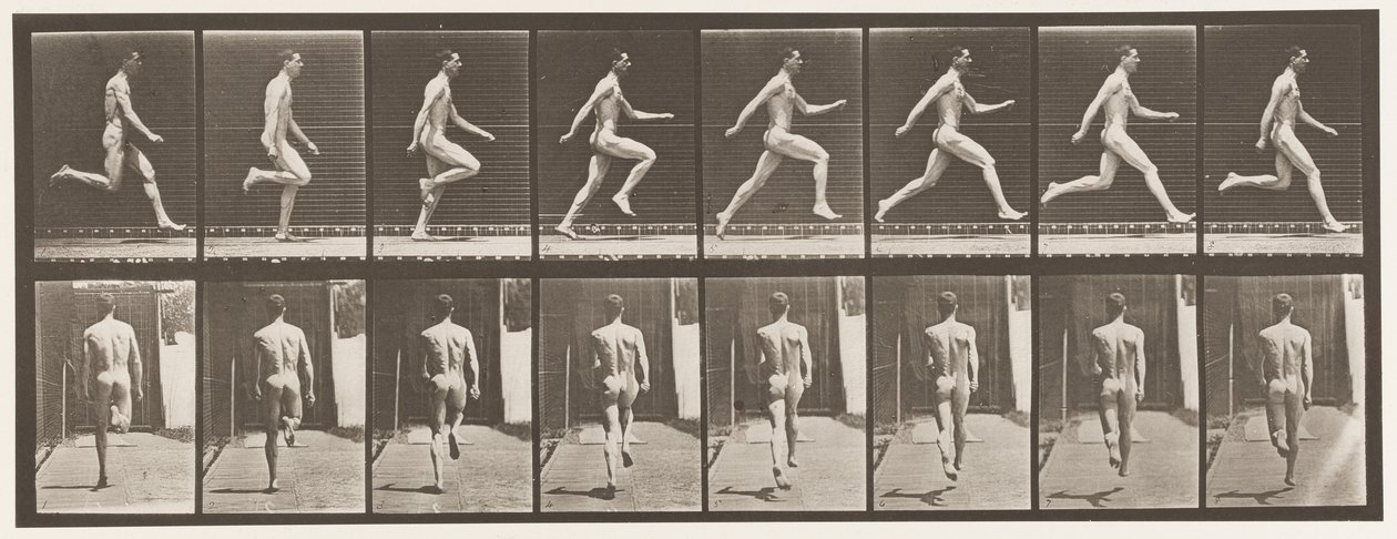 Placa 65. Correndo a toda velocidade., 1872-1885 de Eadweard Muybridge