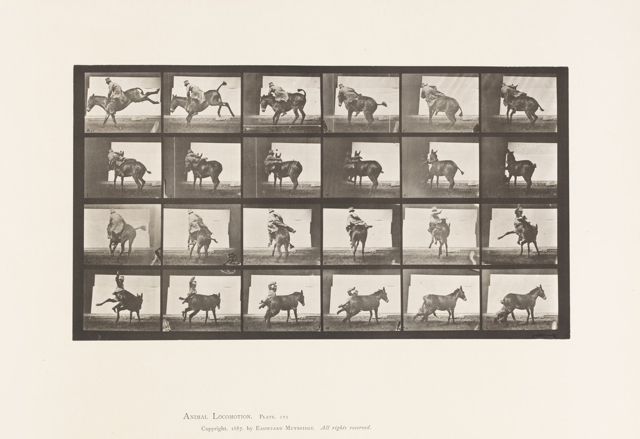 Placa 661. Mula; A, B, A Rute Animal Refratária de Eadweard Muybridge