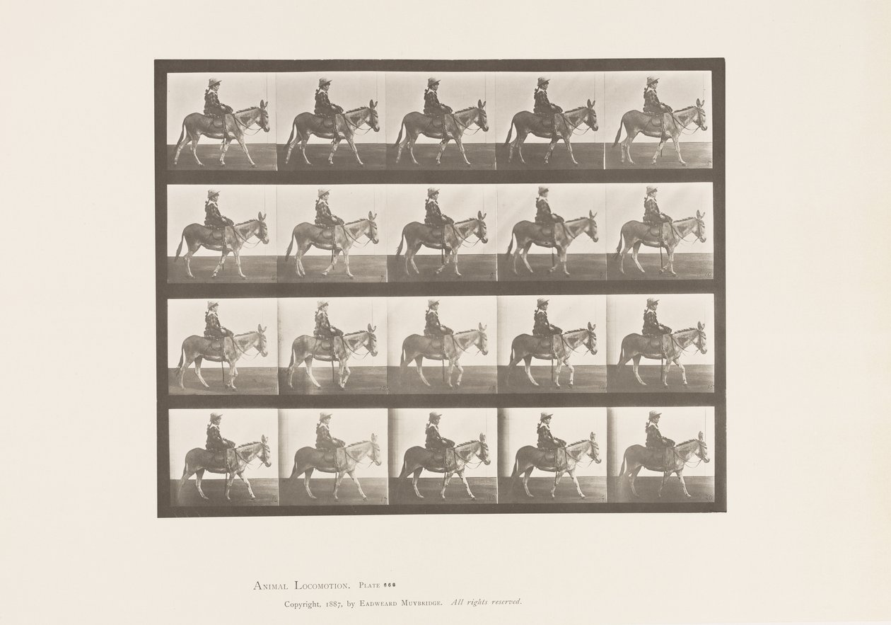 Placa 666. Rabo; Andar; Sela; Uma Rapariga a Montar, Jardim Zoológico de Eadweard Muybridge