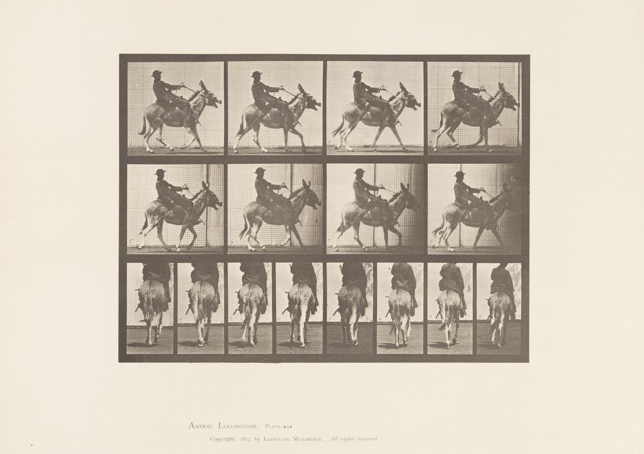Placa 668. Rabo; Ambulante; Sela; Um Rapaz a Montar, Jardim Zoológico de Eadweard Muybridge