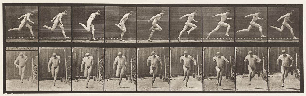 Placa 68. Corrida, 1872-1885 de Eadweard Muybridge