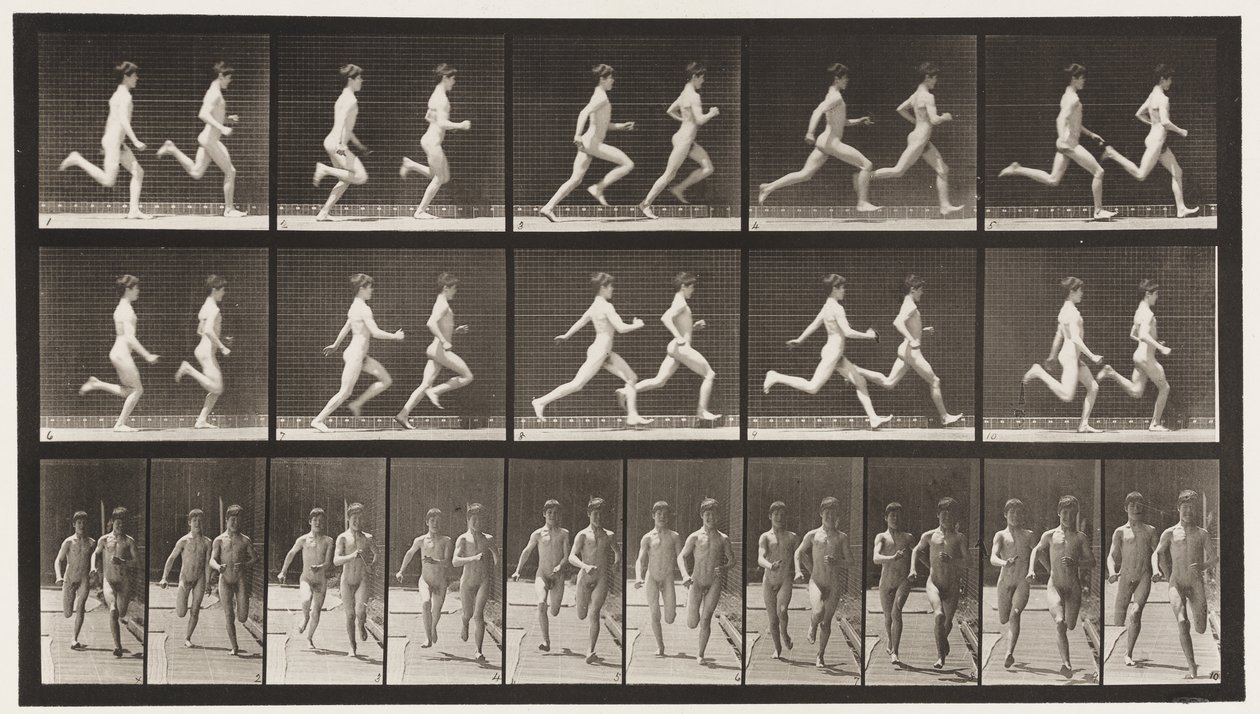 Placa 69. Executando Dois Modelos, 1872-1885 de Eadweard Muybridge