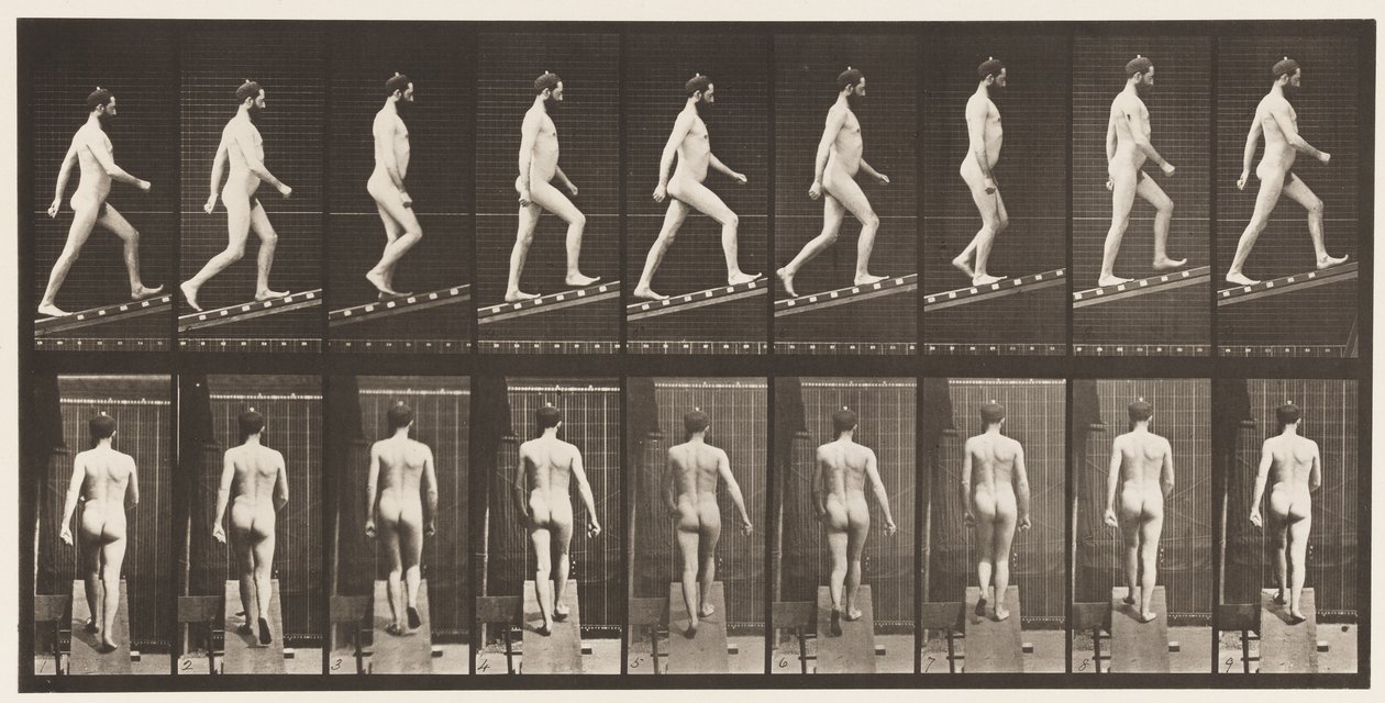Placa 75. Inclinação Ascendente, Ângulo 1 em 4, 1872-1885 de Eadweard Muybridge