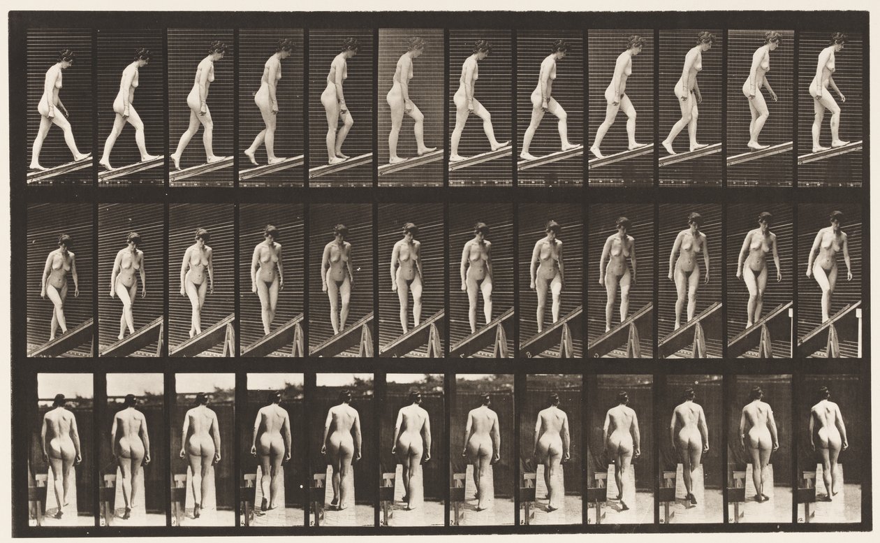 Placa 76. Inclinação Ascendente de Eadweard Muybridge
