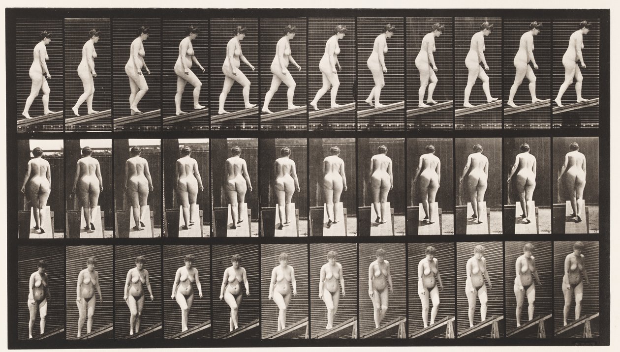 Placa 77. Inclinação Ascendente de Eadweard Muybridge
