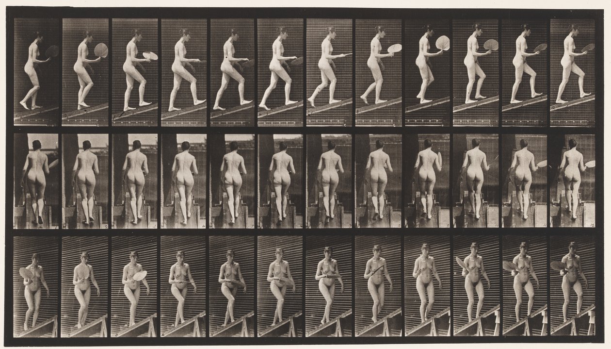 Placa 78. Inclinação Ascendente, Flirting A Fan, 1872-1885 de Eadweard Muybridge