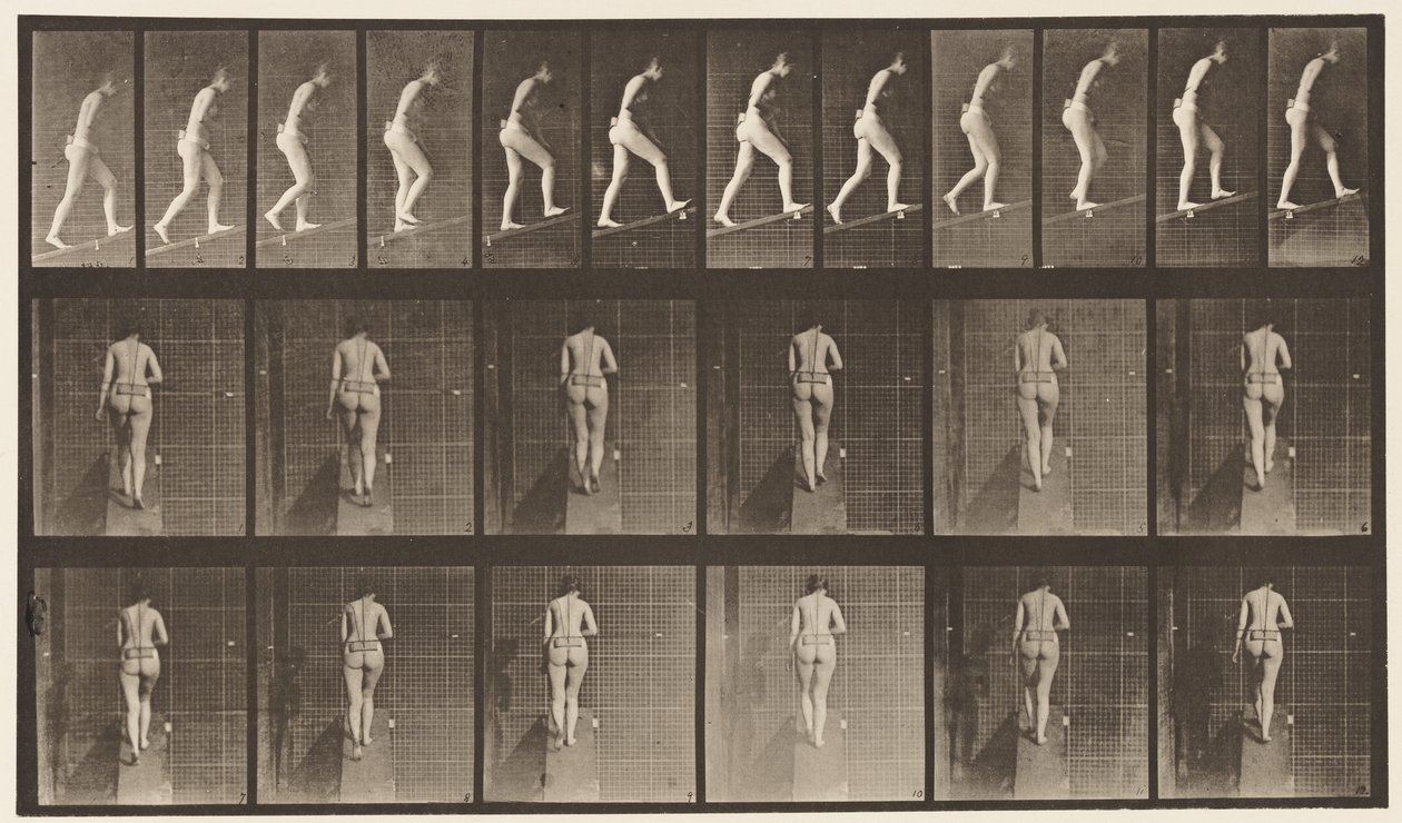 Placa 79. Inclinação Ascendente de Eadweard Muybridge