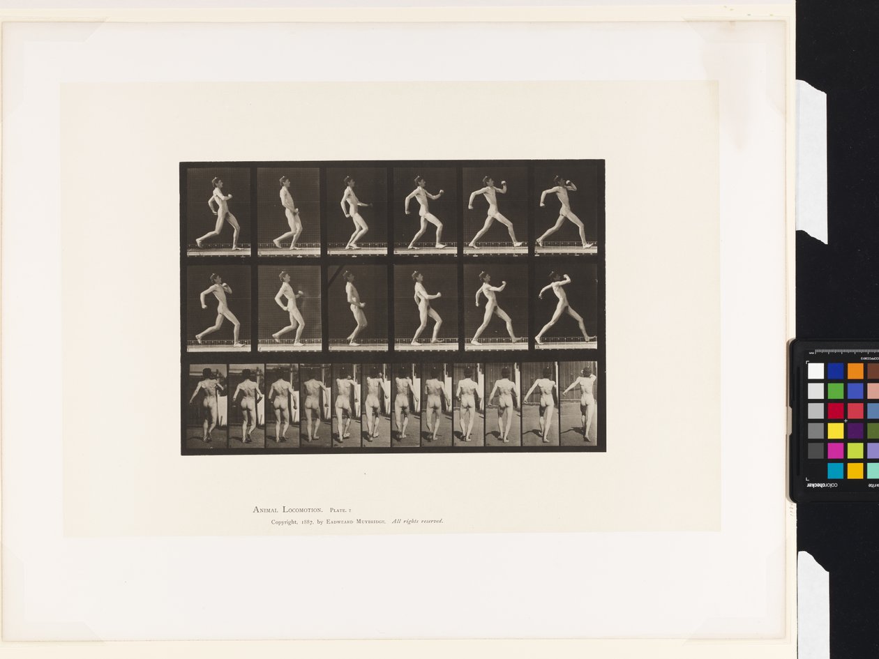 Placa 7. Caminhada de Eadweard Muybridge