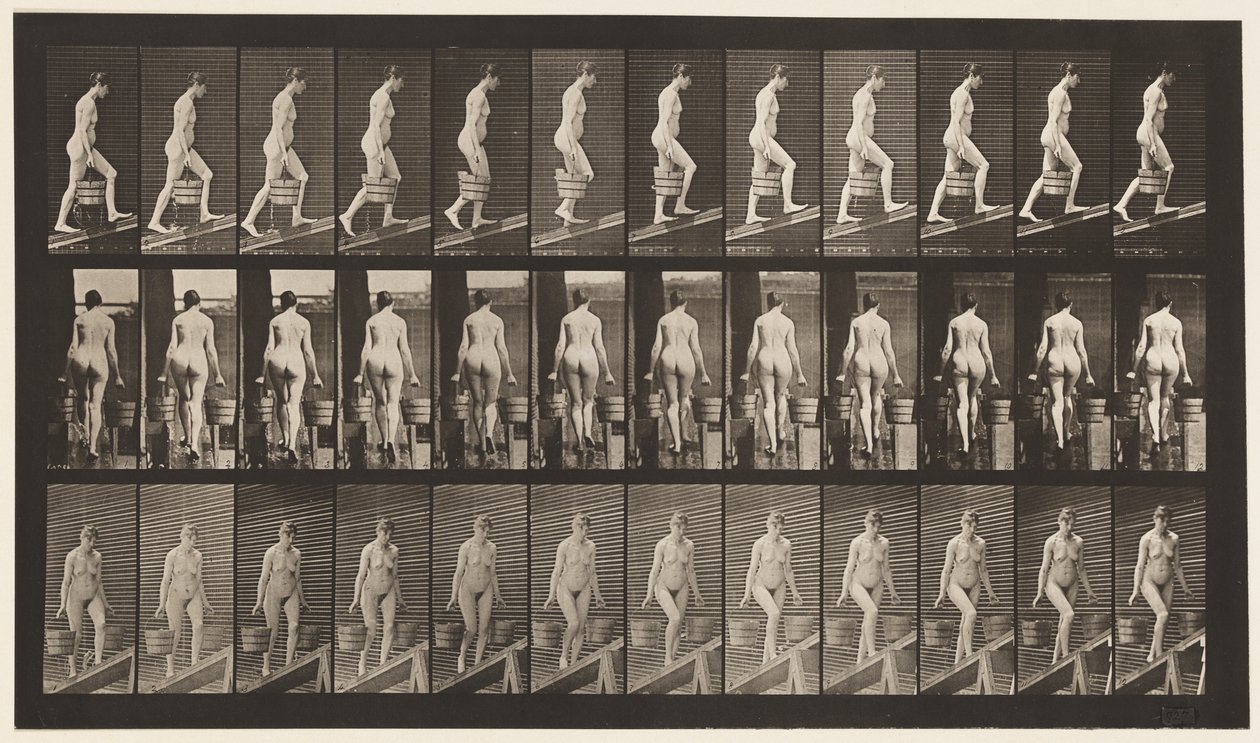 Placa 81. Inclinação Ascendente. de Eadweard Muybridge