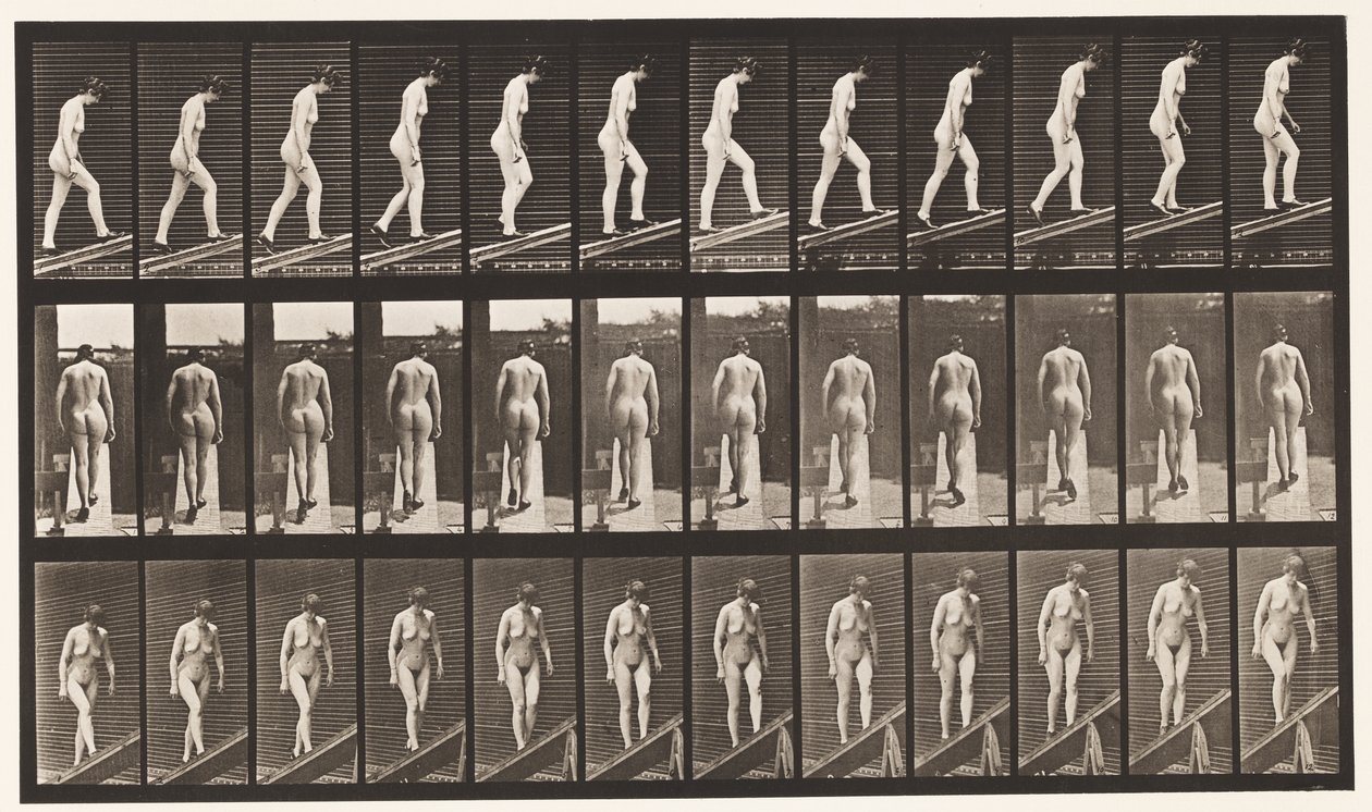 Placa 85. Inclinação Ascendente de Eadweard Muybridge