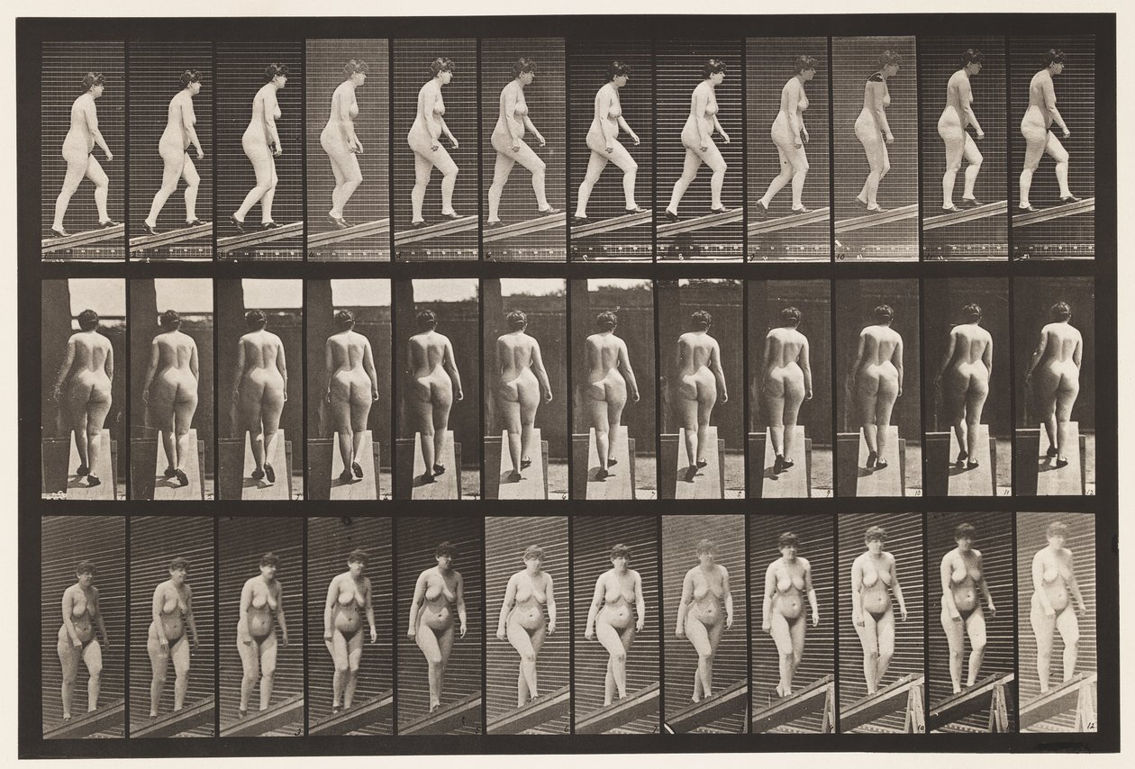 Placa 86. Inclinação Ascendente de Eadweard Muybridge