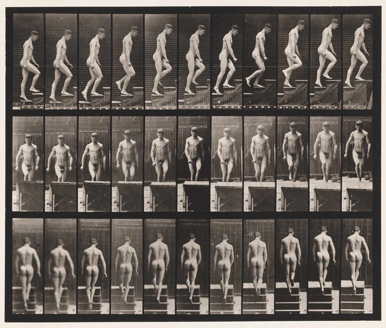 Placa 88. Escada Ascendente, 1872-1885 de Eadweard Muybridge