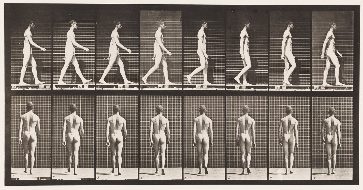Placa 8. Caminhando de Eadweard Muybridge