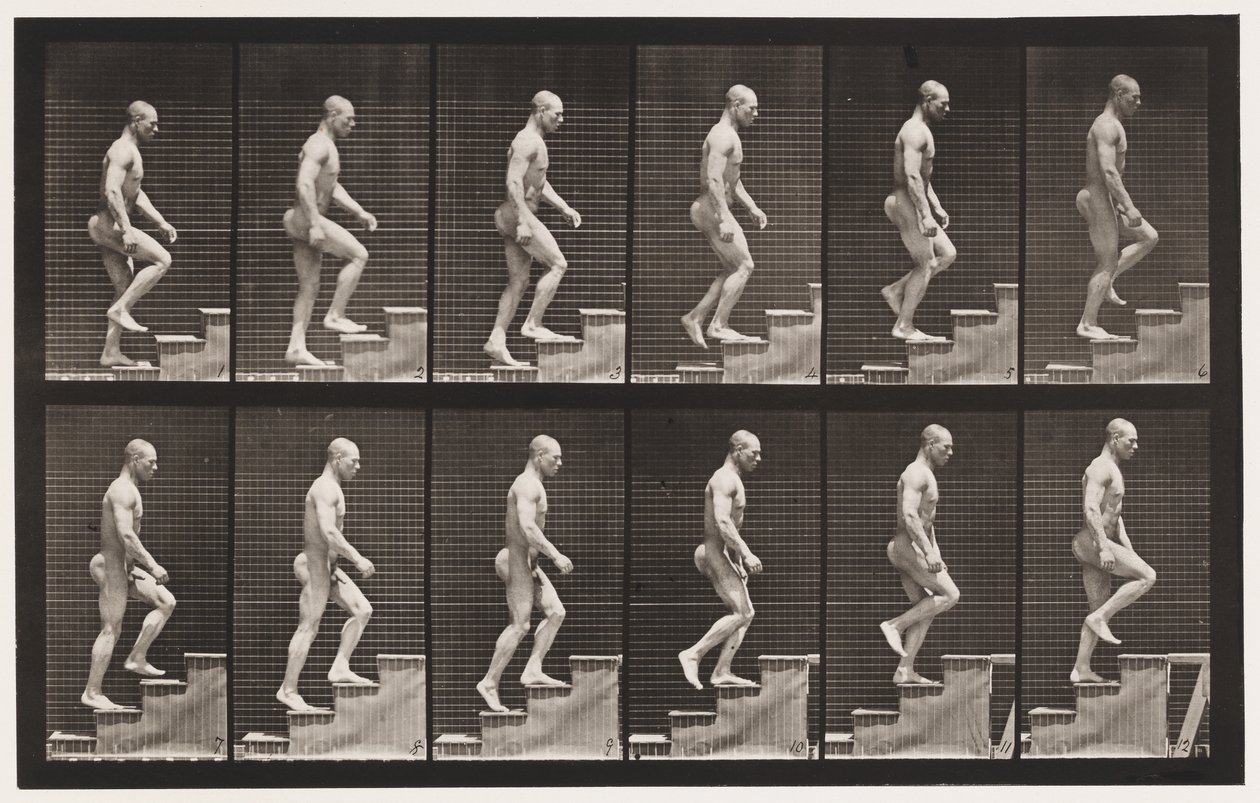 Placa 91. Escadas Ascendentes de Eadweard Muybridge