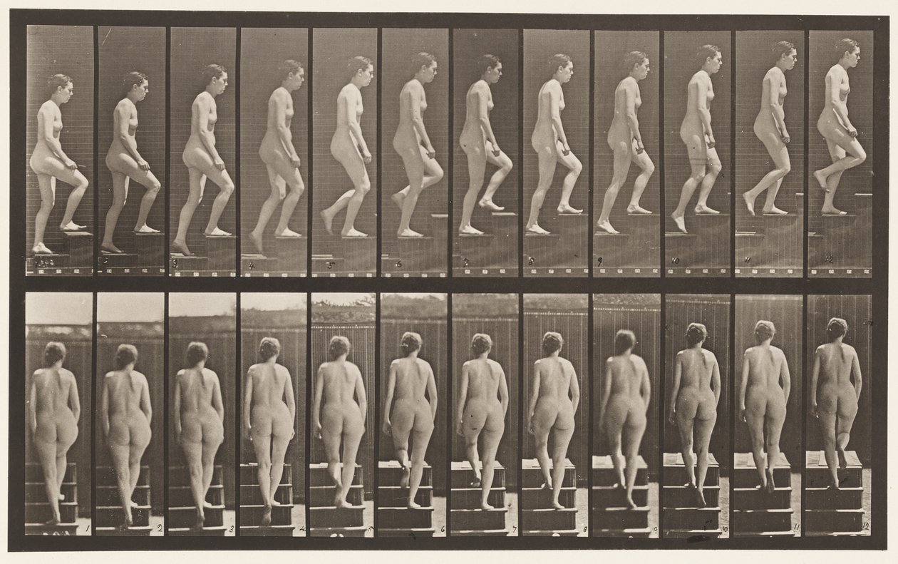 Placa 92. Escadas Ascendentes de Eadweard Muybridge