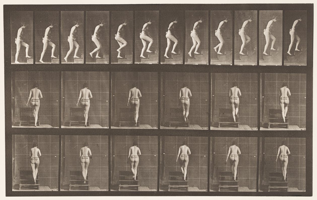 Placa 93. Escada Ascendente de Eadweard Muybridge