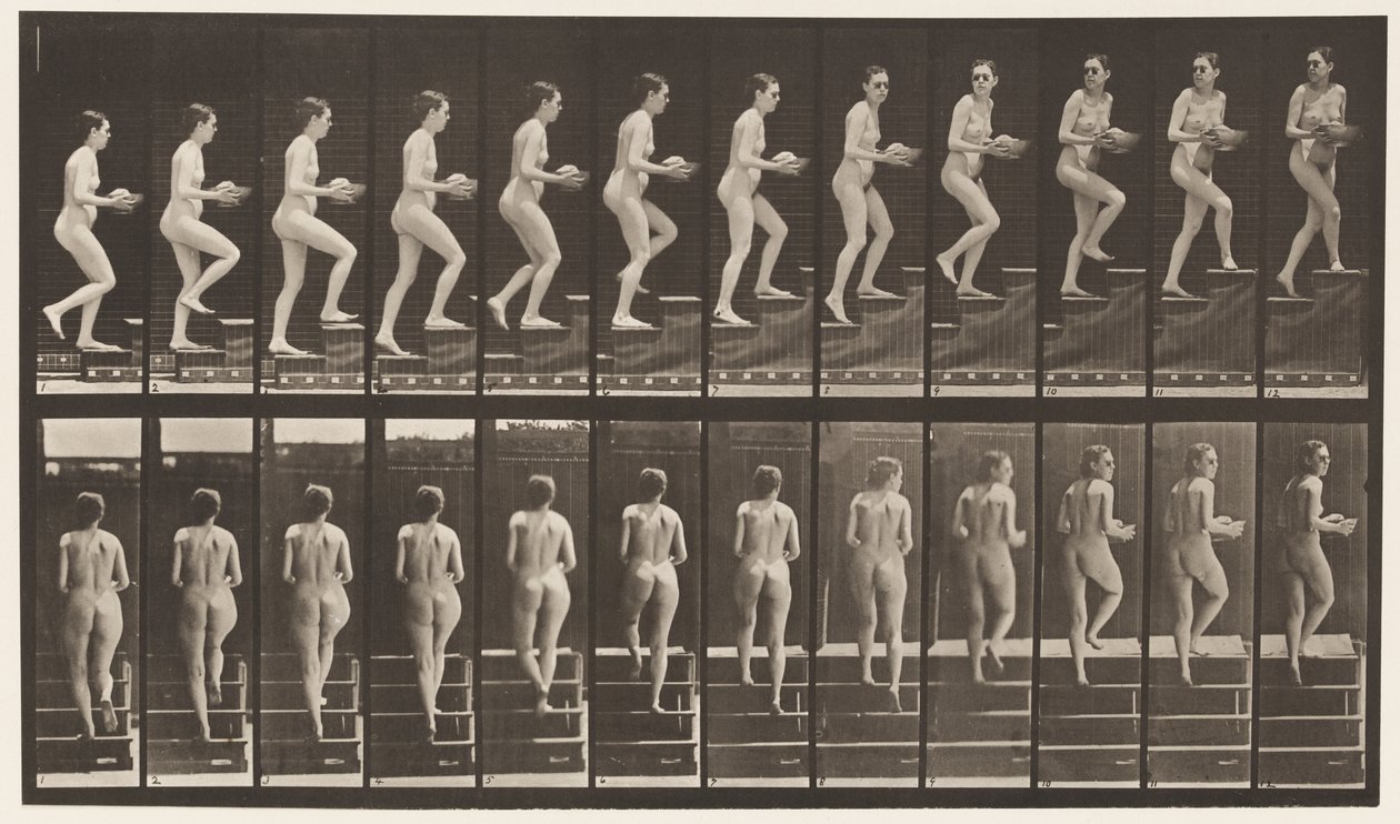 Placa 94. Escadas ascendentes olhando ao redor; Bacia nas mãos de Eadweard Muybridge