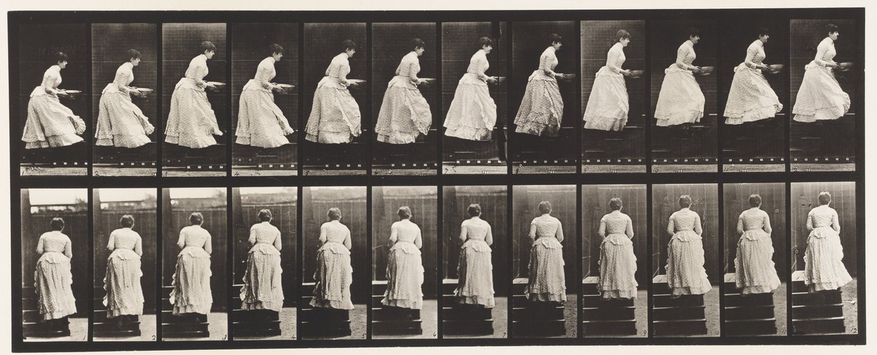 Placa 95. Escadas, uma bacia nas mãos, 1885 de Eadweard Muybridge
