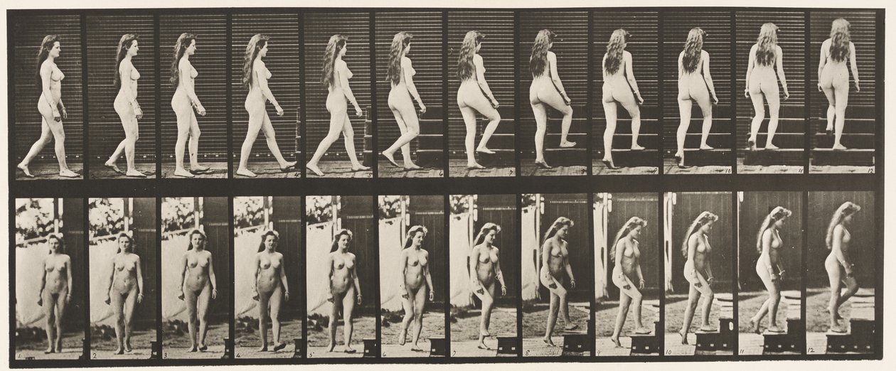 Placa 99. Escadas giratórias e ascendentes de Eadweard Muybridge